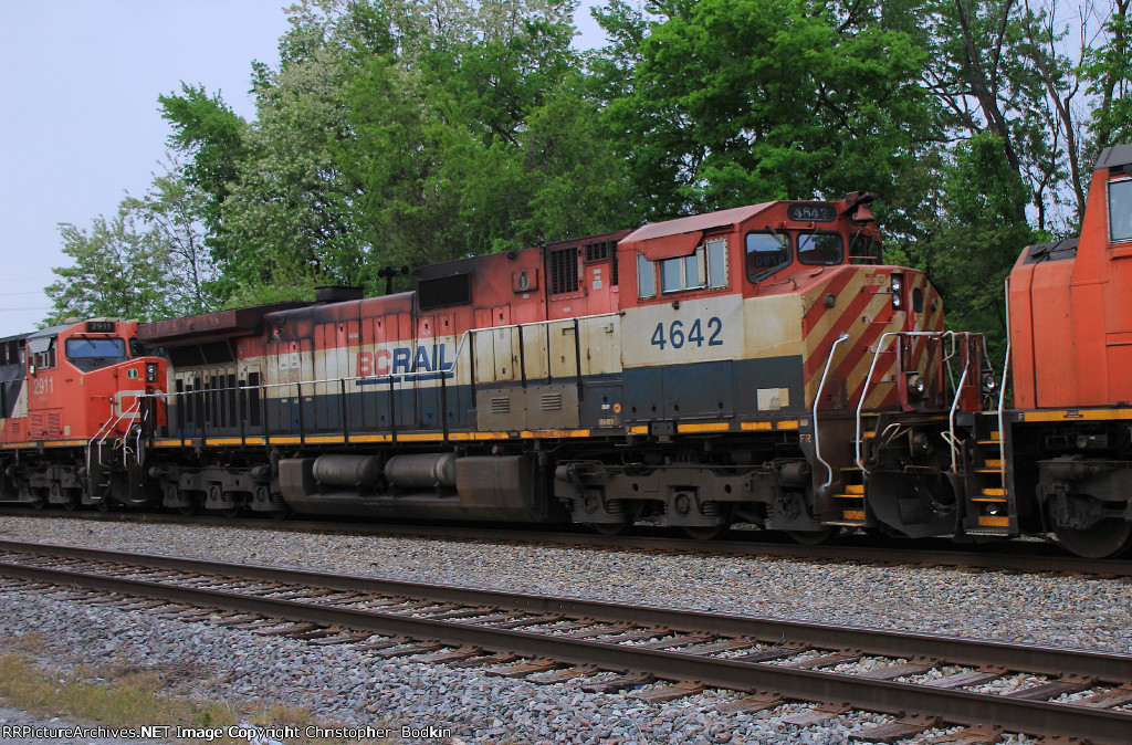 BCOL 4642